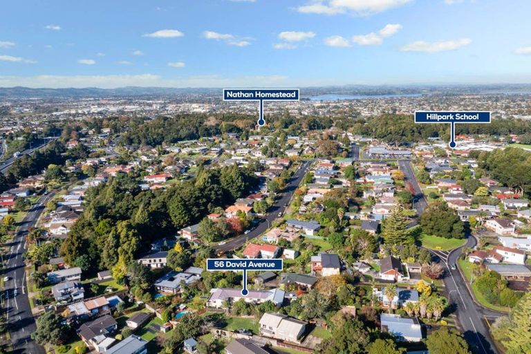 Photo of property in 56 David Avenue, Hillpark, Auckland, 2102