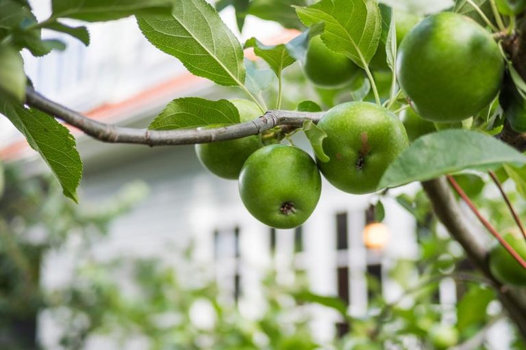 Photo of property in 38 Langston Avenue, Palmerston North, 4414