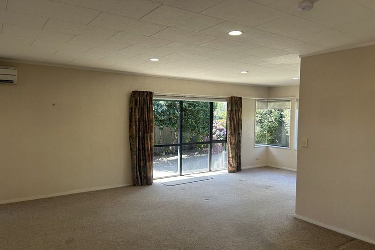 Photo of property in 49 Chelsea Avenue, Richmond, 7020