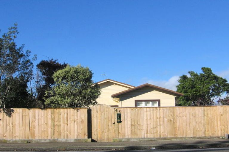 Photo of property in 46 Featherston Street, Takaro, Palmerston North, 4412