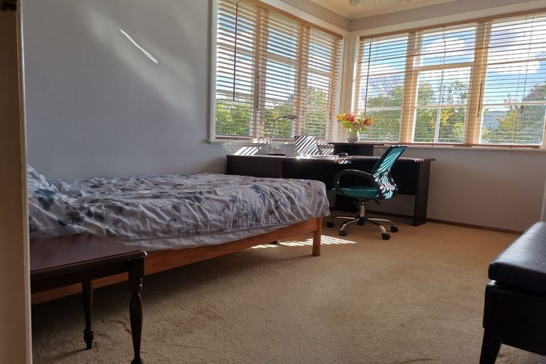 Photo of property in 219 Cambridge Terrace, Naenae, Lower Hutt, 5011