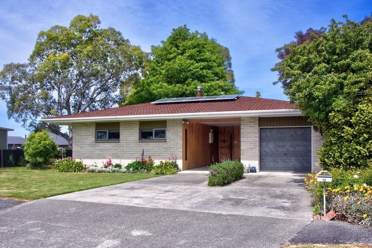 Photo of property in 42 Oak Street, Masterton, 5810