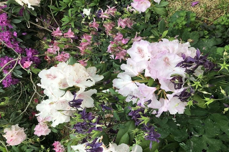 Photo of property in 73 Kahu Way, Hawkesbury, Blenheim, 7272