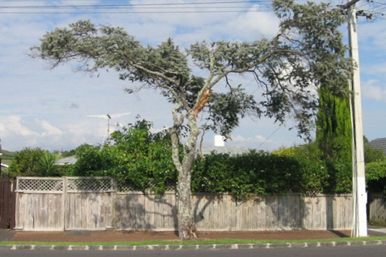 Photo of property in 45 Long Drive, Saint Heliers, Auckland, 1071