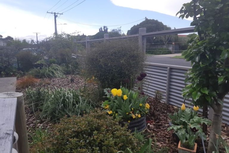 Photo of property in 40 Malcolm Street, Martinborough, 5711