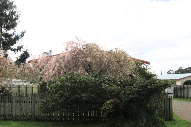 Photo of property in 71 Leonard Road, Ngongotaha, Rotorua, 3010