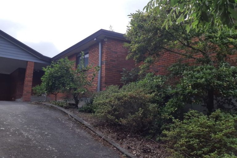 Photo of property in 9 Rewa Place, Lansdowne, Masterton, 5810