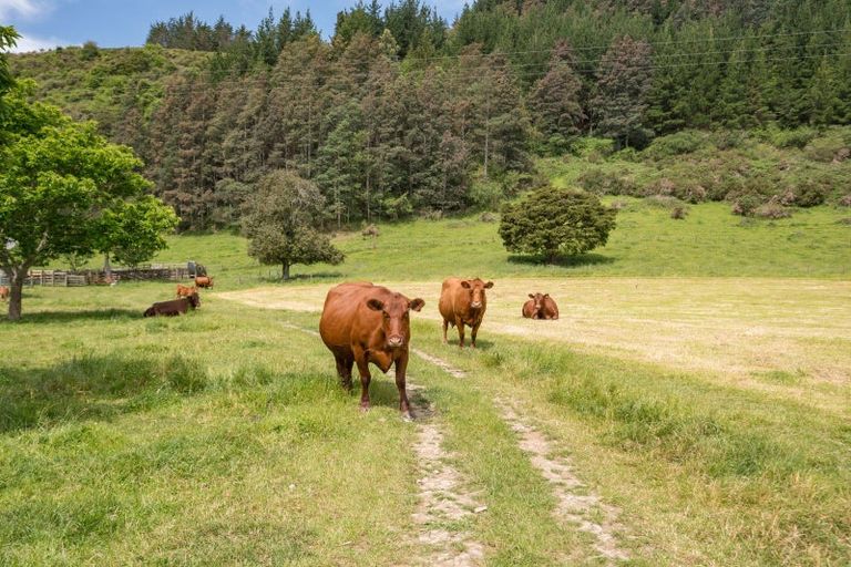 Photo of property in 145 Andrews Road, Wairoa Valley, Brightwater, 7091