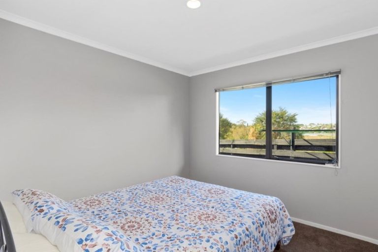 Photo of property in 10b College Place, Poike, Tauranga, 3112