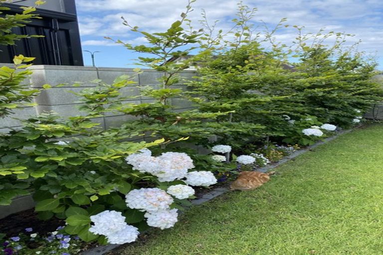 Photo of property in 115 Motu Grande, Pauanui, Hikuai, 3579