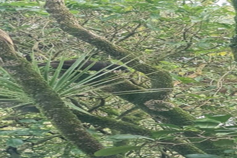 Photo of property in 7 Garden Road, Northland, Wellington, 6012