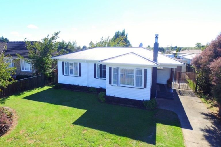 Photo of property in 32 Elizabeth Street, Levin, 5510