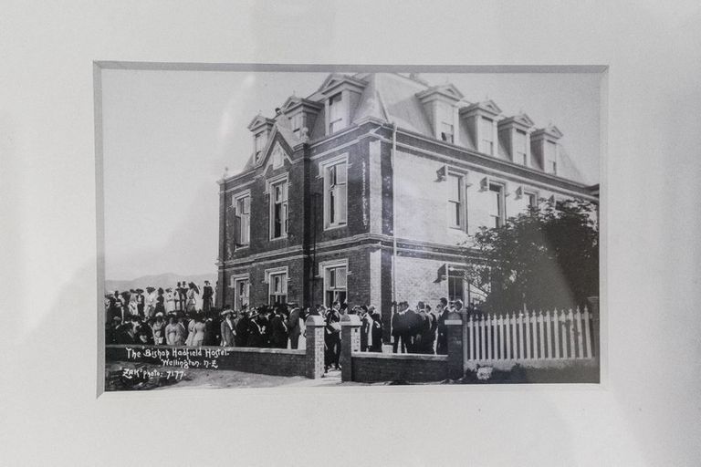 Photo of property in 16a Hadfield Terrace, Kelburn, Wellington, 6012