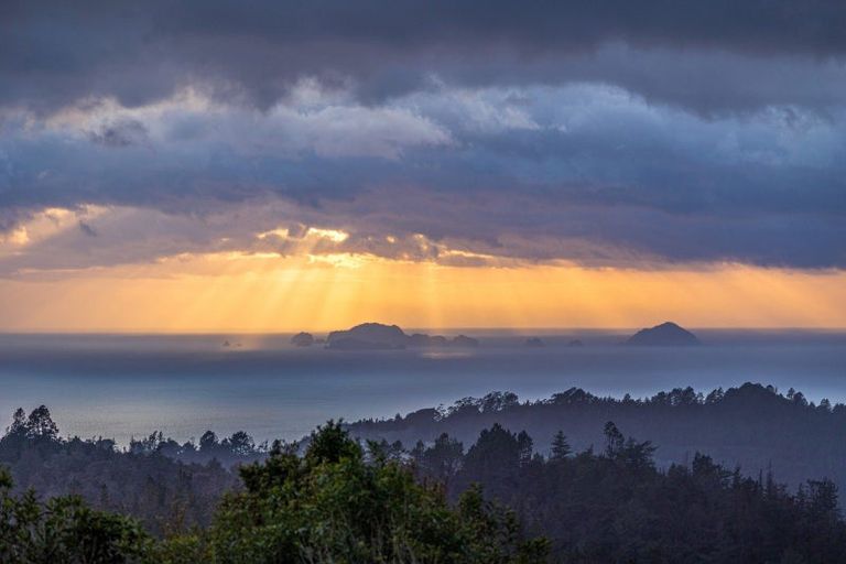 Photo of property in 61 Koru Rise, Pumpkin Hill, 3591