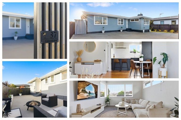 Photo of property in 37 Concord Avenue, Mount Maunganui, 3116