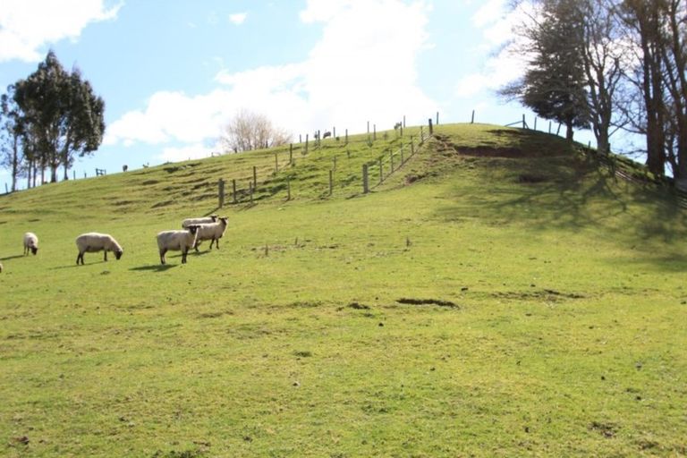 Photo of property in 17 Matarawa Road, Kinleith, Tokoroa, 3491
