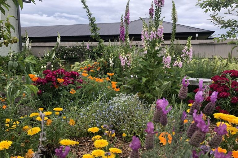 Photo of property in 16 Walshs Road, Allenton, Ashburton, 7700