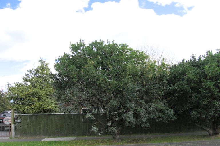 Photo of property in 61 Hinekura Avenue, Taupo, 3330