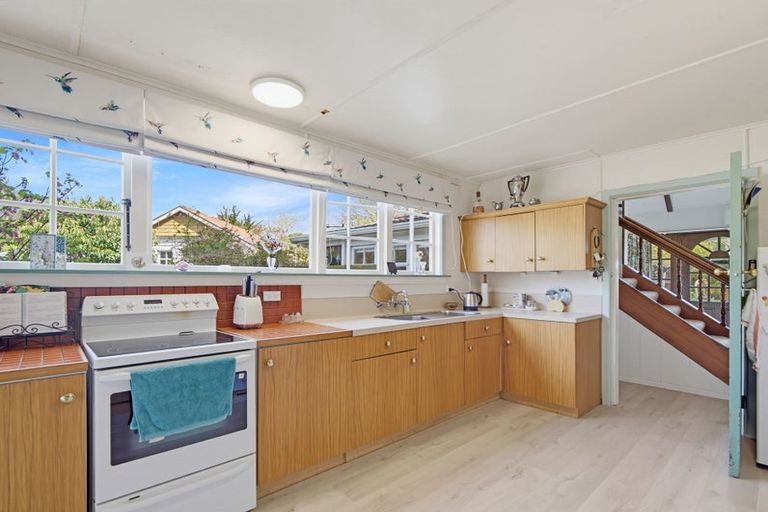 Photo of property in 20 Appleby Street, Hampden, 9410