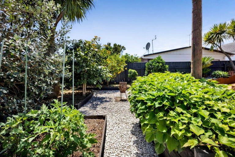 Photo of property in 164 Tukapa Street, Westown, New Plymouth, 4310