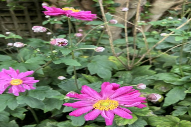 Photo of property in 139 Townhead Crescent, Bethlehem, Tauranga, 3110