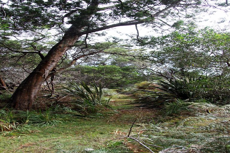 Photo of property in 63 Trig Road, Houhora, Kaitaia, 0484