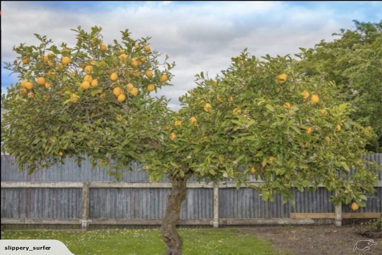 Photo of property in 21 Brunswick Road, Aramoho, Whanganui, 4500