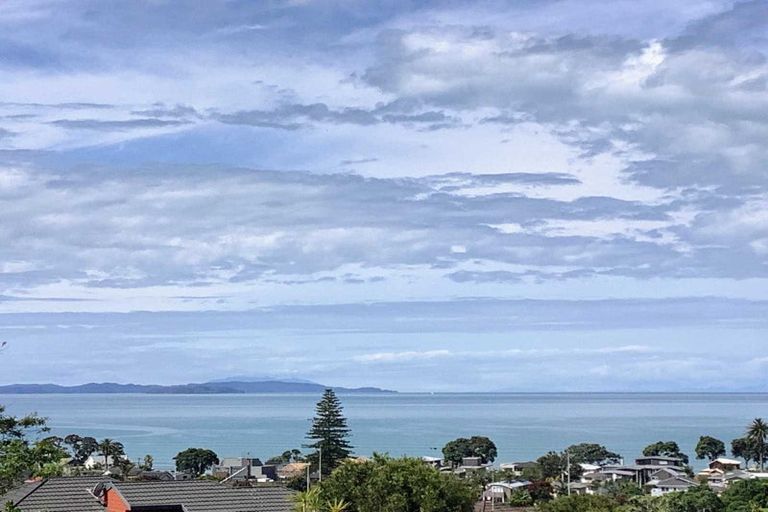 Photo of property in 66 Bay Vista Drive, Red Beach, 0932