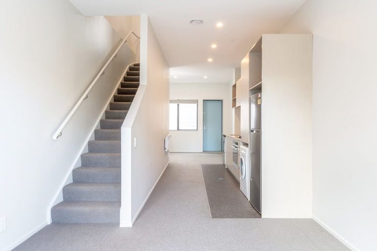 Photo of property in Aniva Terrace, 14 Arney Street, Newtown, Wellington, 6021