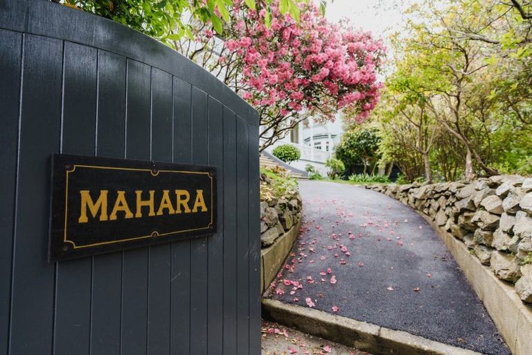 Photo of property in 2 Fifield Street, Roslyn, Dunedin, 9010