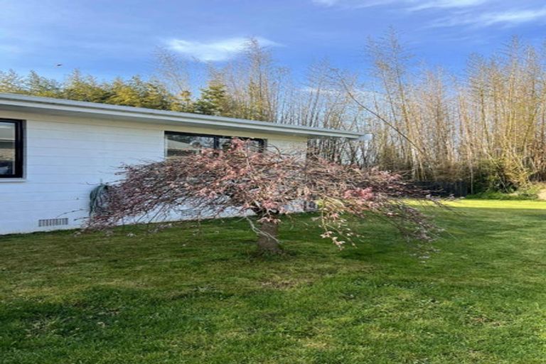 Photo of property in 58 Berkley Avenue, Hillcrest, Hamilton, 3216