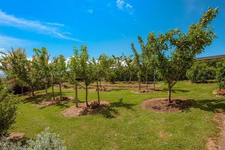 Photo of property in 421 Delta Lake Heights, Renwick, Blenheim, 7271