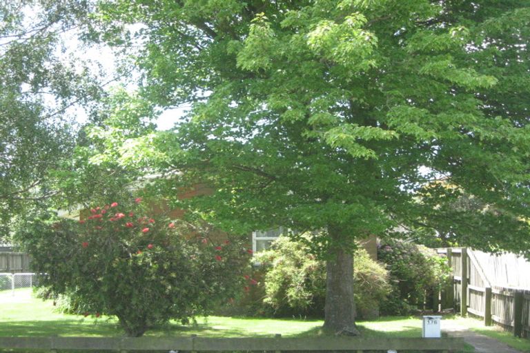 Photo of property in 176 Buchanans Road, Hei Hei, Christchurch, 8042