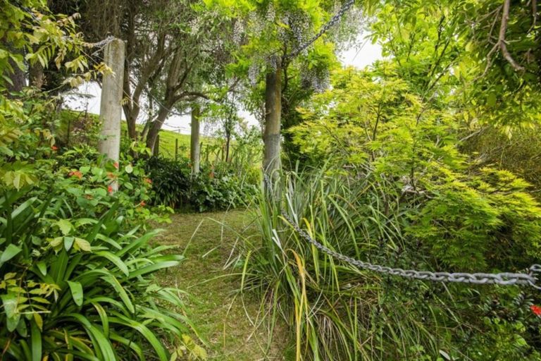 Photo of property in 87 Valley Road, Mangapapa, Gisborne, 4010