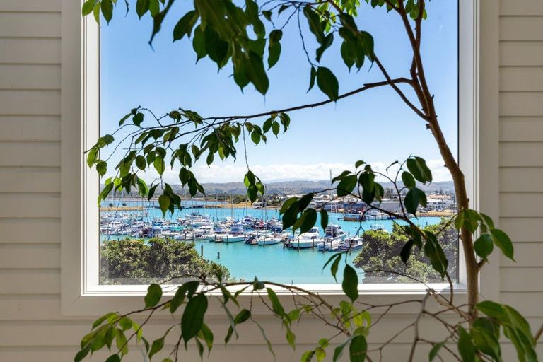 Photo of property in Shed 5, 201/1 Lever Street, Ahuriri, Napier, 4110