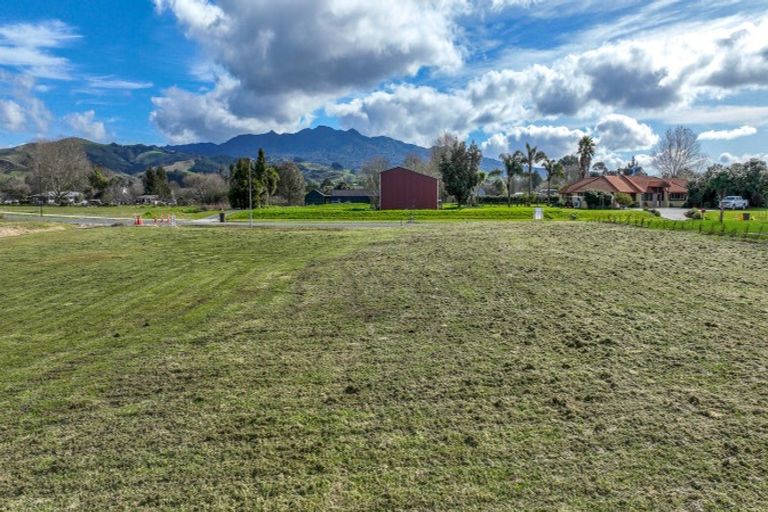 Photo of property in 895 Collinson Street, Pirongia, 3802