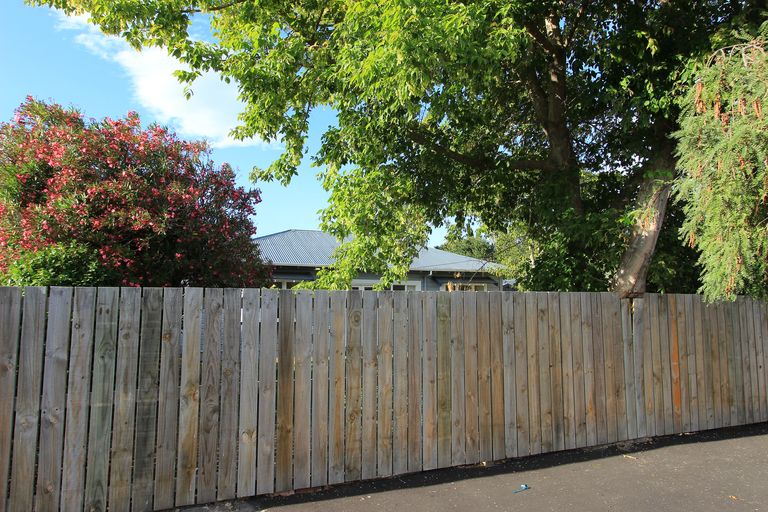 Photo of property in 49 Rogers Street, Blenheim, 7201