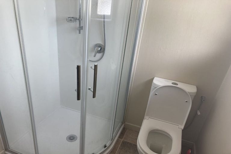 Photo of property in 39 Sare Crescent, Fairfield, Hamilton, 3214