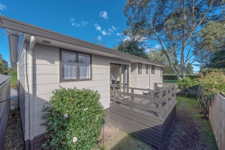 Photo of property in 45b Hibiscus Avenue, Hamilton Lake, Hamilton, 3204