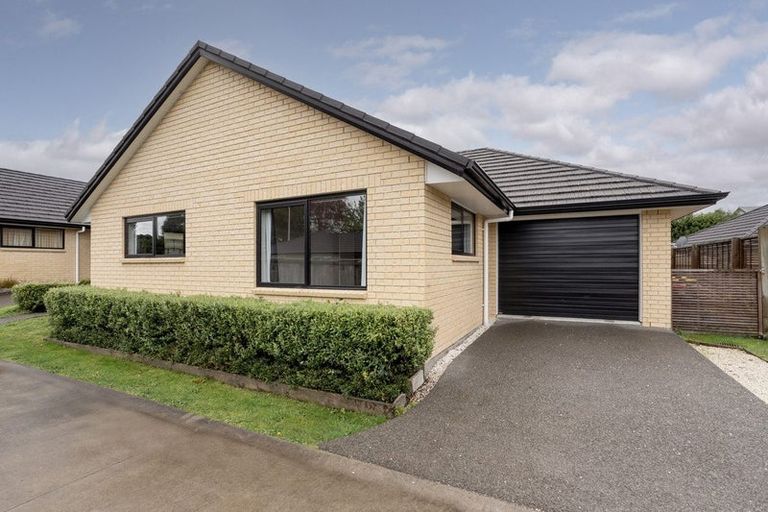 Photo of property in 123c Pyes Pa Road, Pyes Pa, Tauranga, 3112