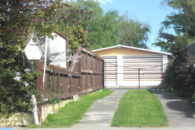 Photo of property in 45a Leefield Street, Blenheim, 7201