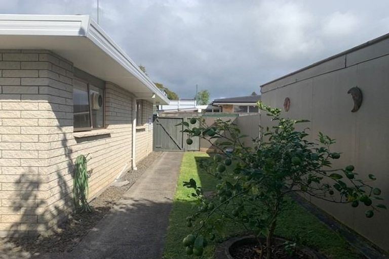 Photo of property in 10a Tutchen Street, Tauranga, 3110