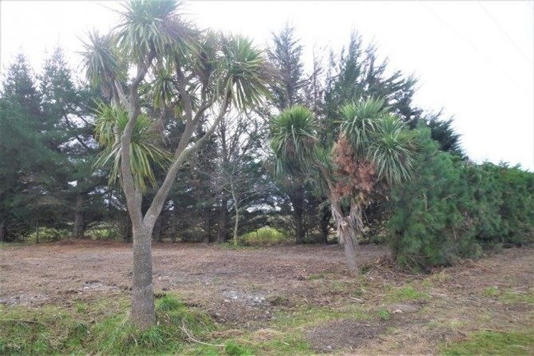Photo of property in 63 Canterbury Street, Ashley, Rangiora, 7477