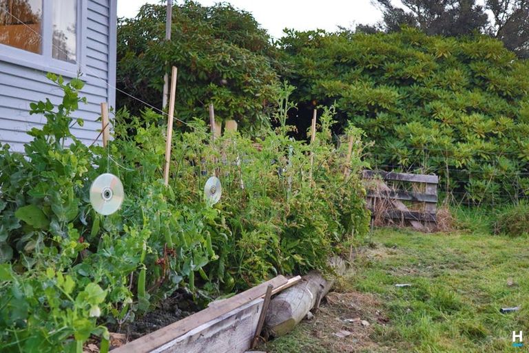 Photo of property in 829 Nelson Creek Road, Hochstetter, Dobson, 7872