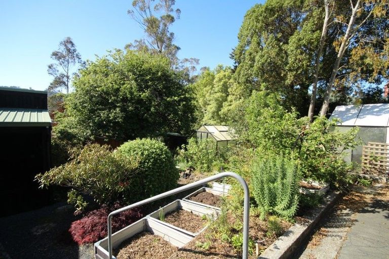 Photo of property in 8a Croydon Street, North East Valley, Dunedin, 9010