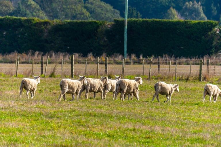 Photo of property in 517 Newtons Road, Rolleston, Christchurch, 7675