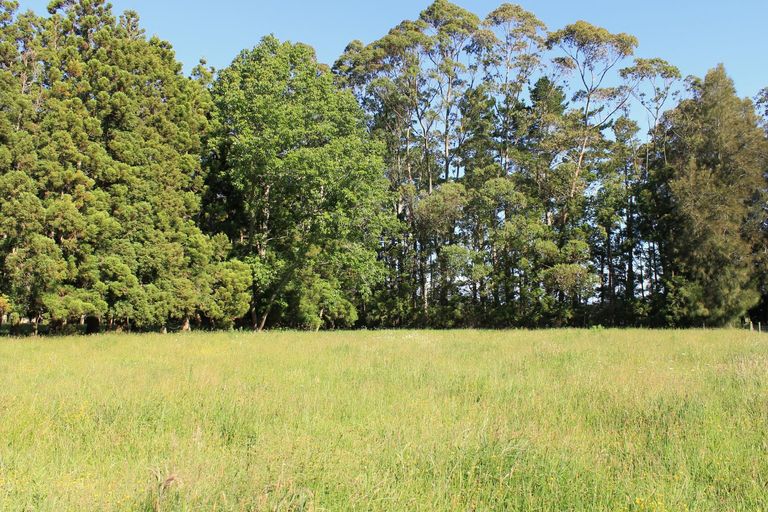 Photo of property in 3b Macadamia Lane, Waipapa, 0295