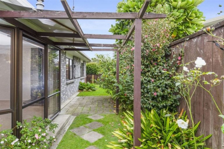 Photo of property in 133a Grace Road, Tauranga South, Tauranga, 3112