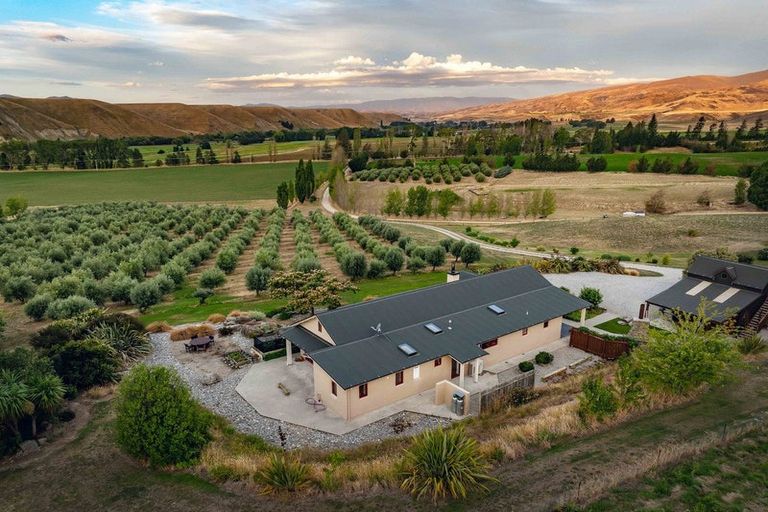 Photo of property in 58 Thomsons Gorge Road, Tarras, Cromwell, 9383