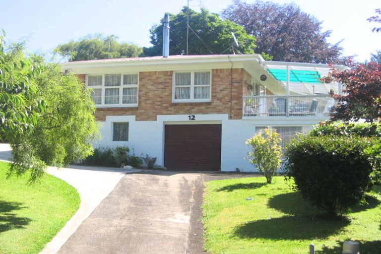 Photo of property in 12 Haines Terrace, Te Kuiti, 3910